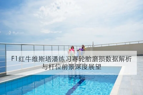 F1红牛维斯塔潘练习赛轮胎磨损数据解析与杆位前景深度展望